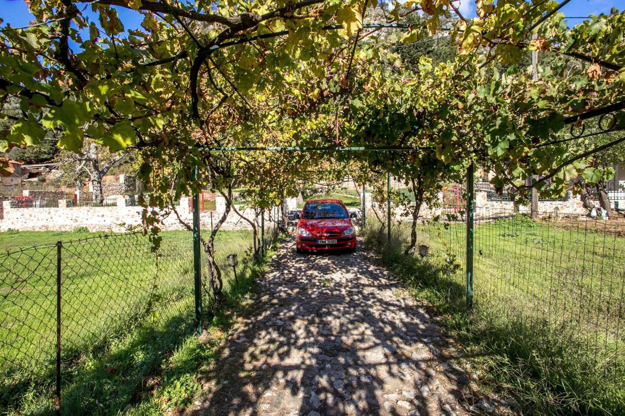 Ifigenia Lux Maisonette In Oldtown And Villas In Theriso Vilage 14 Km Outside Of Chania Hriszí Aktí Haniá Kültér fotó